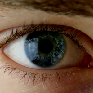 close up of a human eye