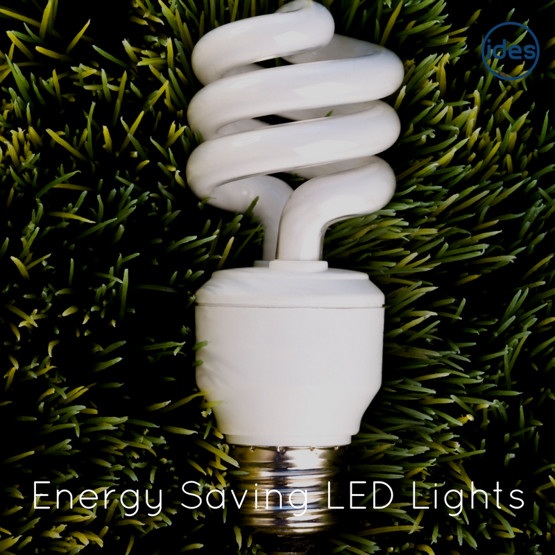 an LED light bulb laid on green grass