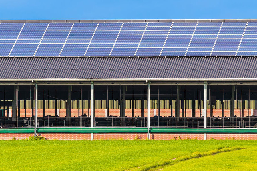 Solar panelled building